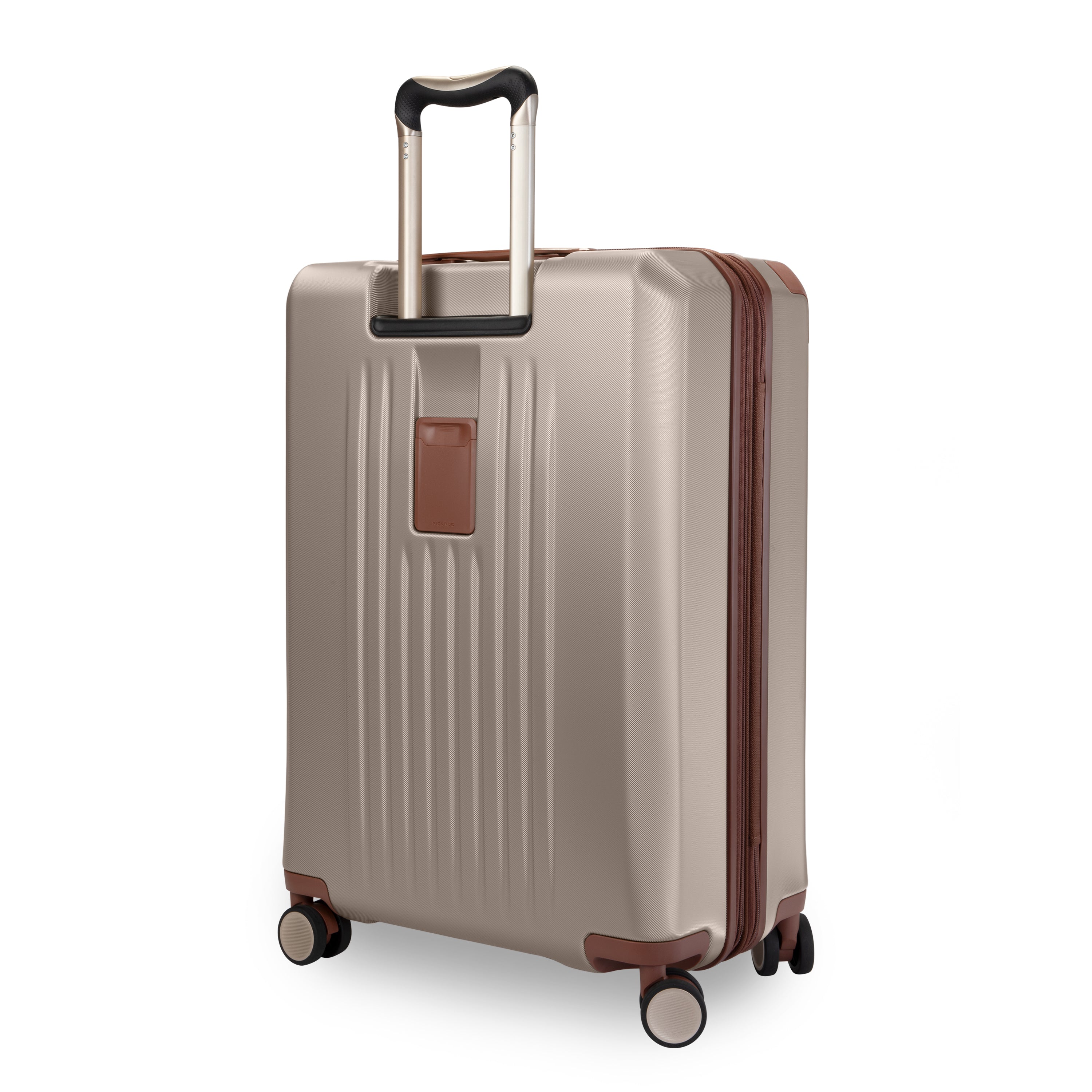 Montecito 2.0 HS 25" Medium Spinner
rear view