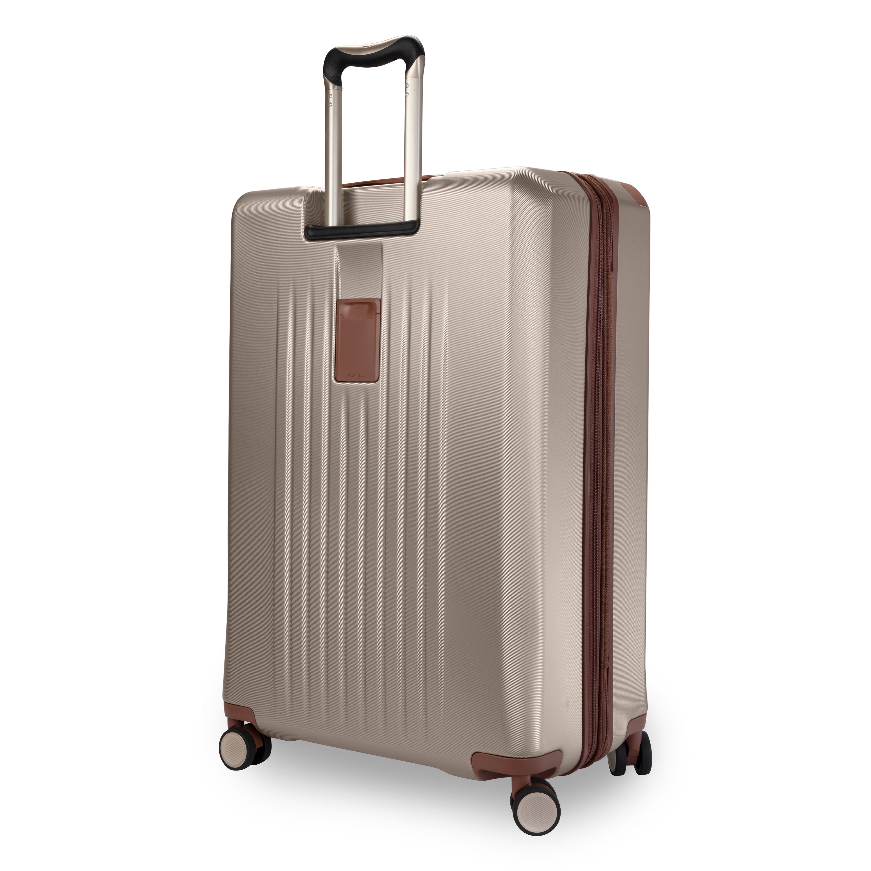 Montecito 2.0 HS 29" Large Spinner
rear view